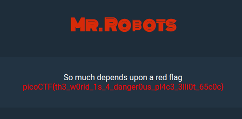 Mr. Robots Flag
